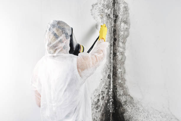 Best Emergency water damage restoration  in Lake Mawk, OH